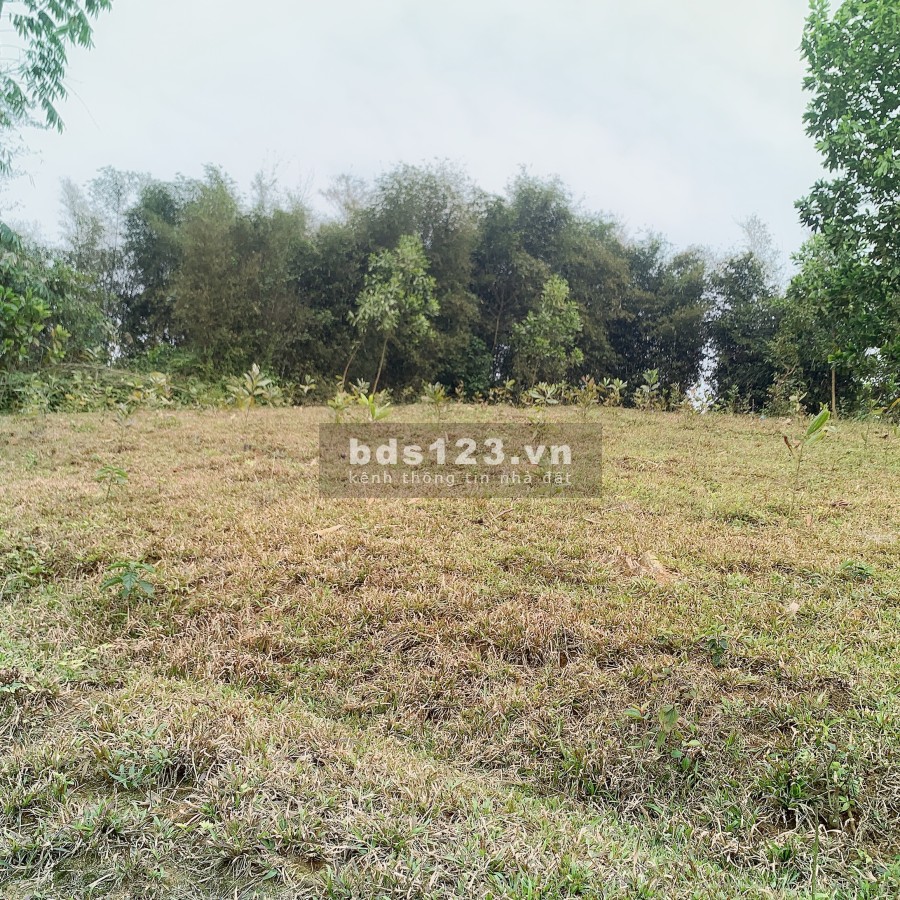 Siêu phẩm nghĩ dưỡng Hoà Bình, pháp lý rõ ràng, giá tốt đầu tư sinh lời cao, vị trí đẹp