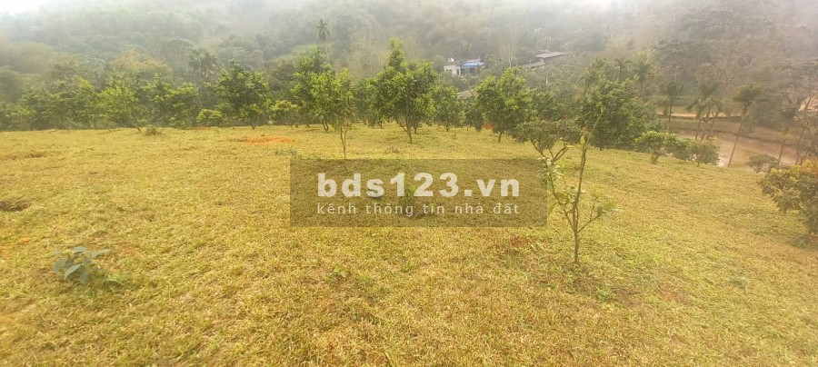 Siêu phẩm nghĩ dưỡng Hoà Bình, pháp lý rõ ràng, giá tốt đầu tư sinh lời cao, vị trí đẹp