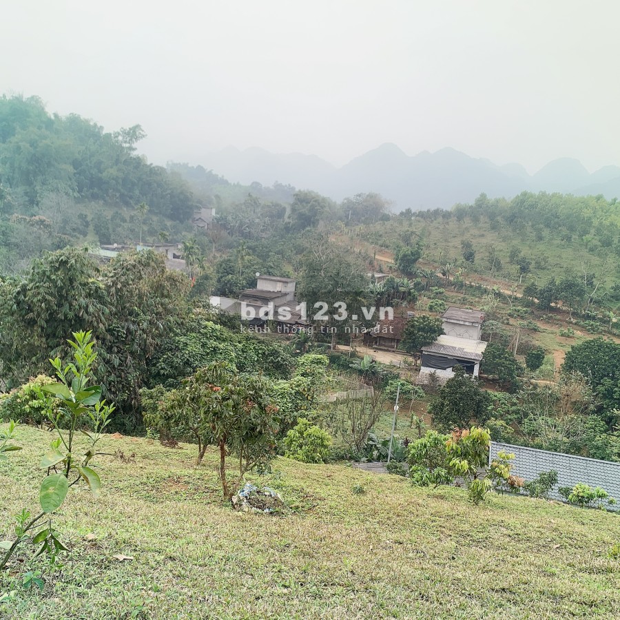 Siêu phẩm nghĩ dưỡng Hoà Bình, pháp lý rõ ràng, giá tốt đầu tư sinh lời cao, vị trí đẹp