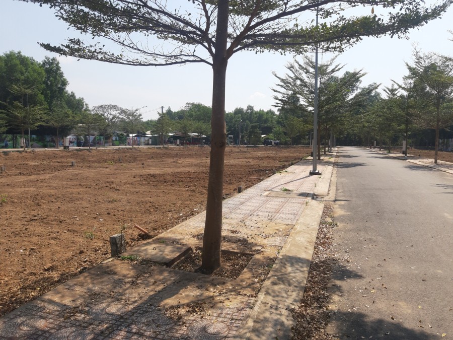 Cần bán lô đất 140m2 tại Đường Tam Thôn Hiệp, Cần Giờ. Giá 1.8 tỷ sổ hồng riêng, bàn giao ngay