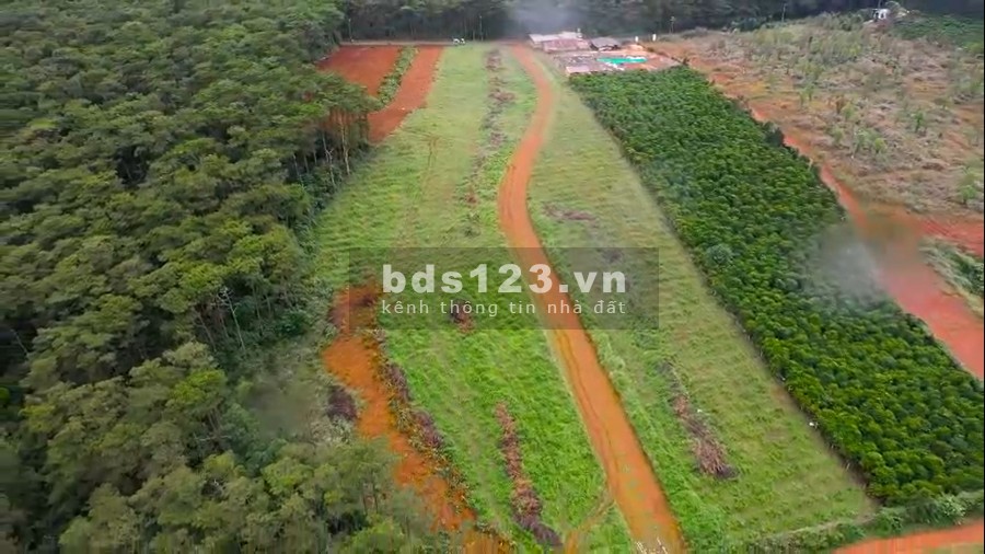 Bán đất chính chủ tại Bảo Lộc - Đón đầu sinh lợi tương lai đầu tư sinh lời cao, giá tốt
