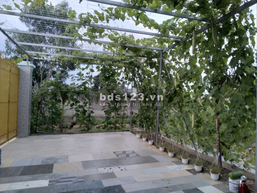 Chính chủ bán đất tặng luôn nhà vườn và cây ăn trái đang thu hoạch, diện tích 100m2