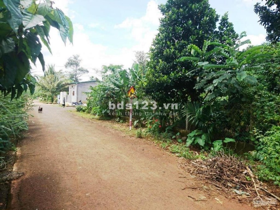 Bán đất rẫy sát tron trung tâm thành phố Buôn Ma Thuột, giá bán 3 tỷ, diện tích 2127m2