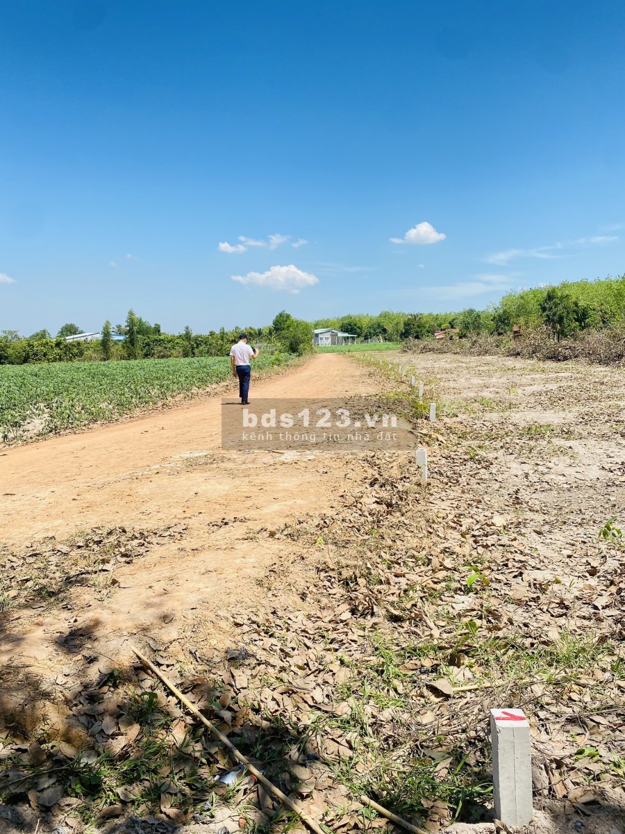 Đất nền Tây Ninh giá đầu tư chỉ 349tr/nền, diện tích sử dụng 5x30m full thổ cư lh 0236726469