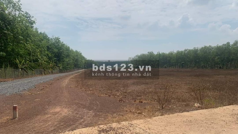 Bán đất nền giá rẻ ở Lộc Khánh đầu tư sinh lời cao, khu dân cư đường lớn, xe vào tận đất