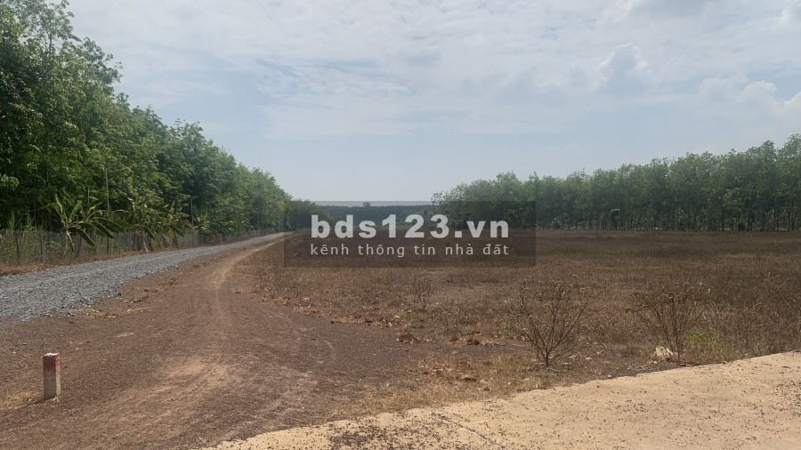 Cần bán đất nền giá rẻ khu vực xã Lộc Khánh huyện Lộc Ninh tỉnh Bình Phước