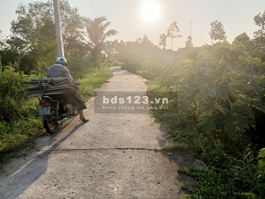 Cho thuê đất vườn trồng rau củ ngắn ngày/chăn nuôi giá thuê cực tốt, làm việc chính chủ