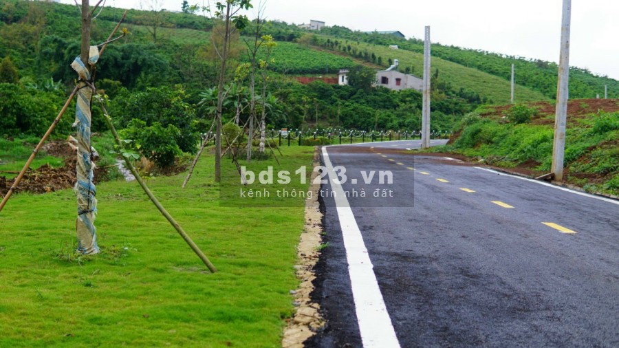 Đầu Tư BĐS Xanh Nghỉ Dưỡng Bảo Lộc, thanh toán 65% công chứng sang tên ngay