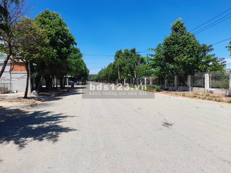 Tôi cần bán lô đất diện tích 300m2 mặt tiền đối diện cổng sau ĐH Việt Đức, thổ cư 100%