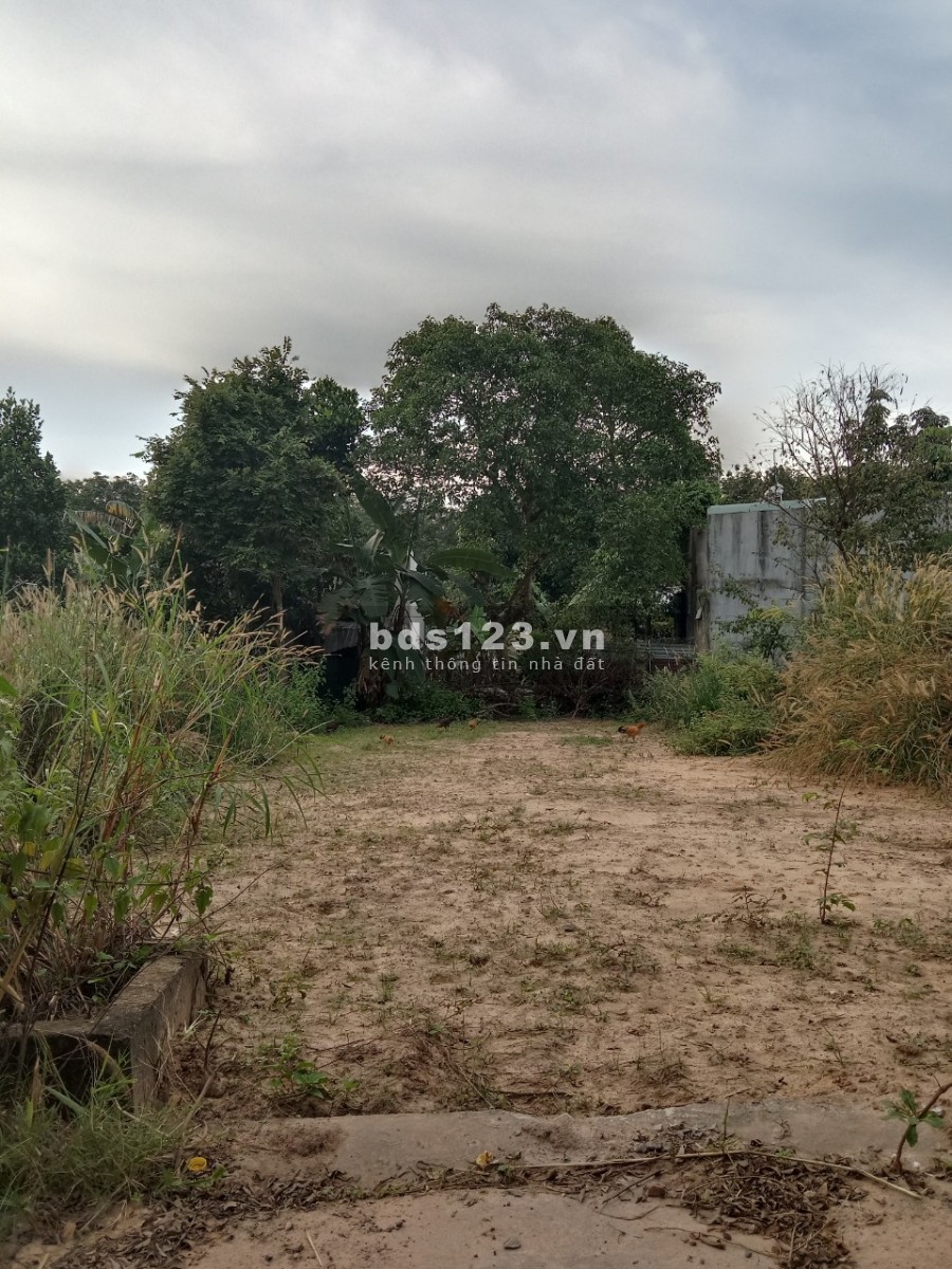 Bán gấp lô đất trả nợ diện tích sử dụng 1500m2 và căn nhà 320m2, khu dân cư đông đúc