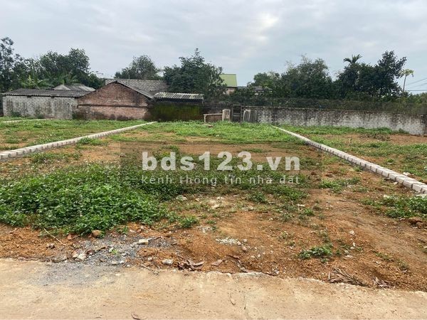 Chủ gửi bán lô vuông Cổ Đông - Sơn Tây diện tích 244m nở hậu giá dưới 10 triệu/m2