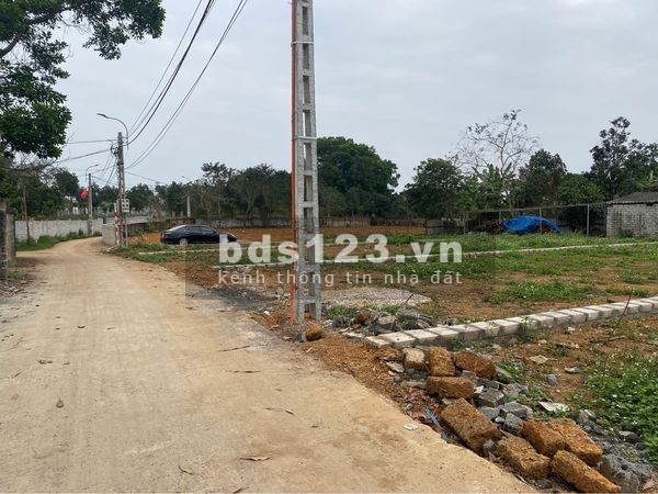 Chủ gửi bán lô vuông Cổ Đông - Sơn Tây diện tích 244m nở hậu giá dưới 10 triệu/m2