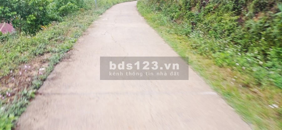 Bán 2ha rẫy Cà Phê mặt tiền đường bê-tông, thôn 9, xã Quãng Khê , Huyện Đăk Glong, tỉnh Đăk Nông