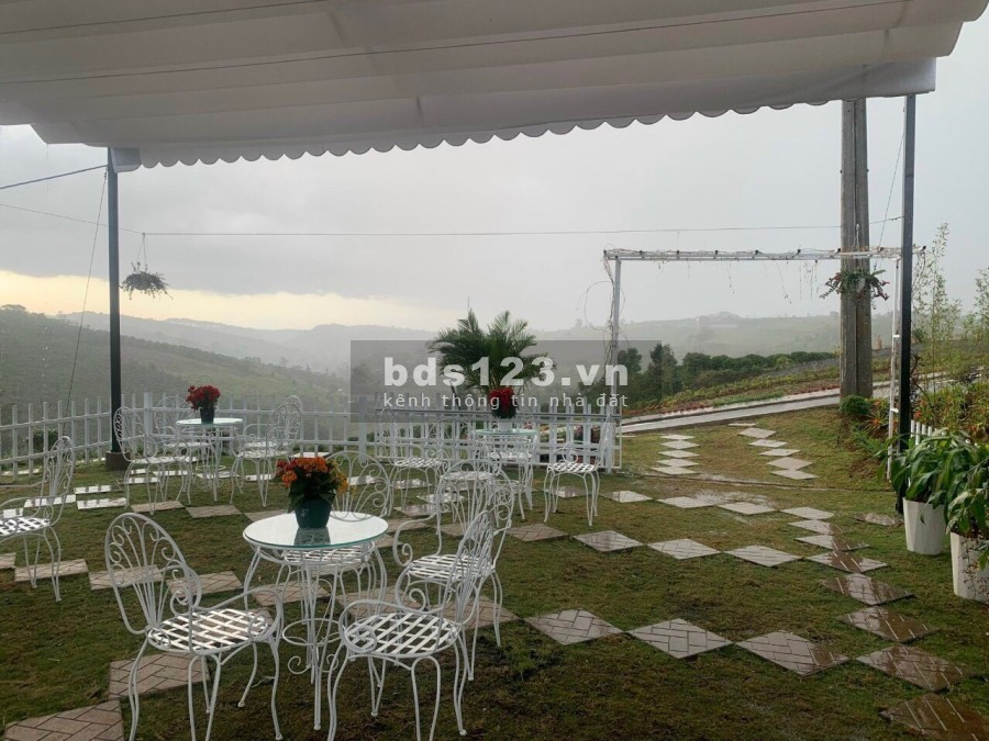 Bán đất nền dự án thành phố Bảo Lộc _ Lâm Đồng. Có sổ hồng từng nền, sang tên nhanh trong ngày