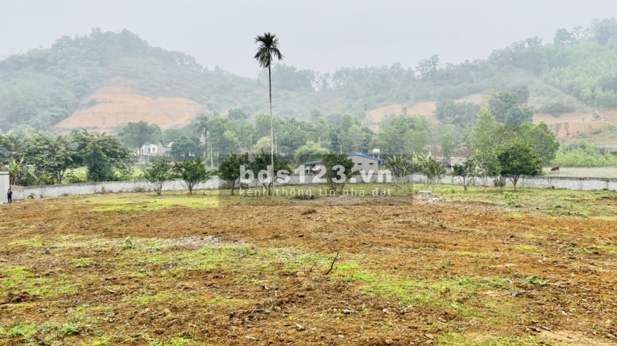 Đầu tư đầu tư sinh lời nghĩ dưỡng, Homestay lợi nhuận quá tốt, giá bán 2 triệu/m2, pháp lý