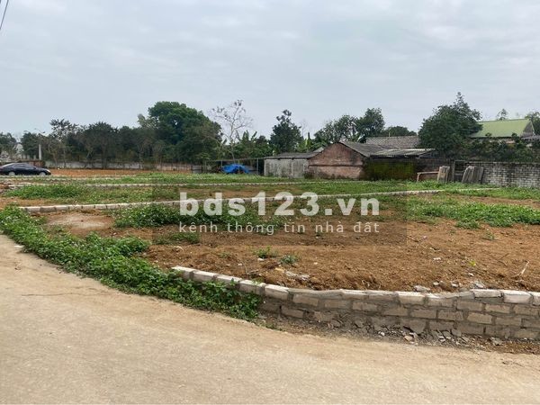 Siêu phẩm lô 231.9m2, nở hậu siêu đẹp tại Cổ Đông Sơn Tây, pháp lý chính chủ, sổ đổ chính chủ