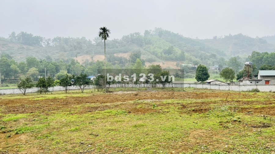 Đầu tư đầu tư sinh lời nghĩ dưỡng, Homestay lợi nhuận quá tốt, giá bán 2 triệu/m2, pháp lý