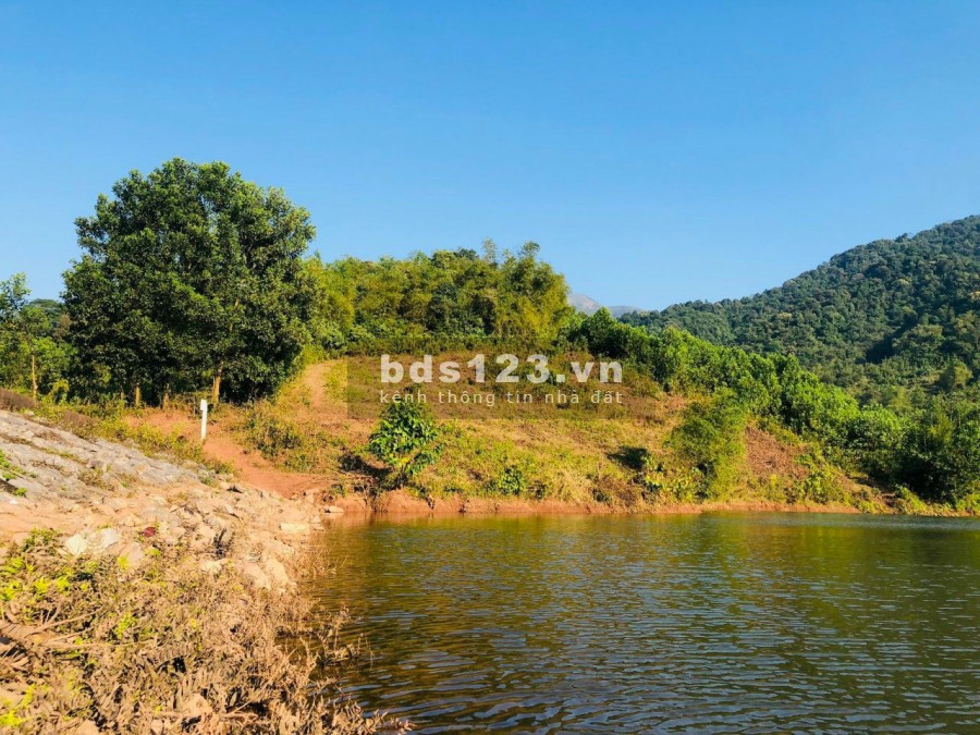 Đầu tư sinh lời nghĩ dưỡng homestay lợi nhuận quá đỉnh Hoà Bình diện tích 2800m2, giá tốt
