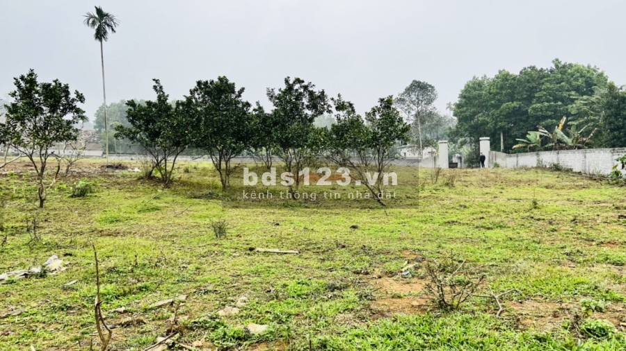 Đầu tư đầu tư sinh lời nghĩ dưỡng, Homestay lợi nhuận quá tốt, giá bán 2 triệu/m2, pháp lý