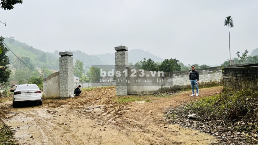 Đầu tư đầu tư sinh lời nghĩ dưỡng, Homestay lợi nhuận quá tốt, giá bán 2 triệu/m2, pháp lý