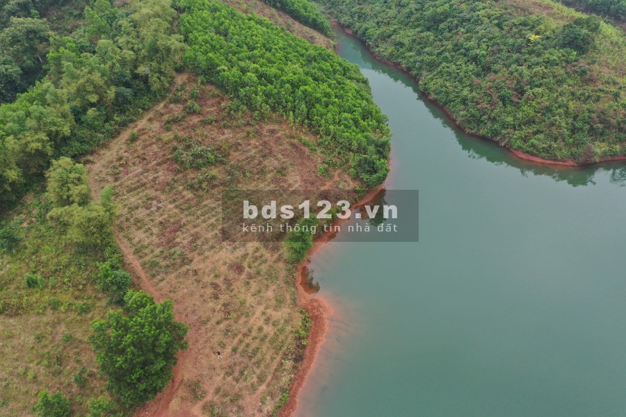 Đầu tư sinh lời nghĩ dưỡng homestay lợi nhuận quá đỉnh Hoà Bình diện tích 2800m2, giá tốt