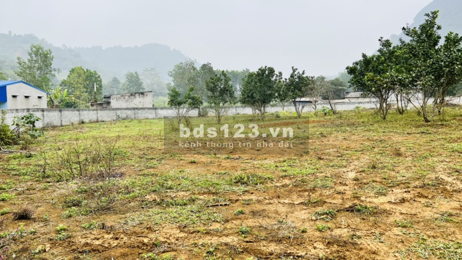 Đầu tư đầu tư sinh lời nghĩ dưỡng, Homestay lợi nhuận quá tốt, giá bán 2 triệu/m2, pháp lý