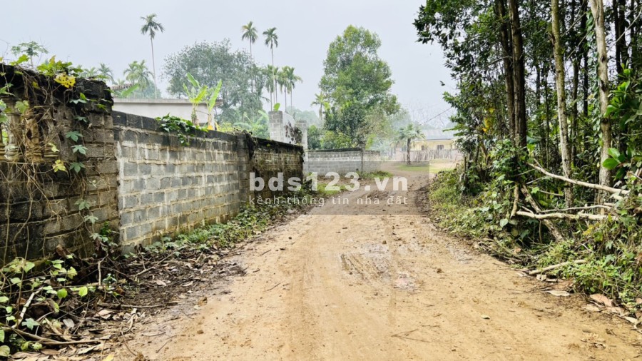 Đầu tư đầu tư sinh lời nghĩ dưỡng, Homestay lợi nhuận quá tốt, giá bán 2 triệu/m2, pháp lý