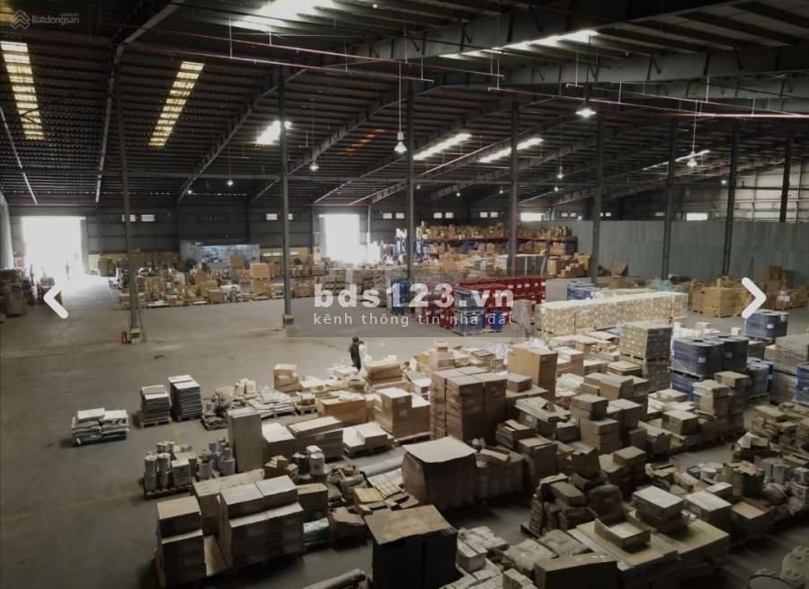 Cho thuê kho xưởng diện tích sử dụng 3.100m2 trong KCN Cát Lái, Quận 2, TP.HCM
