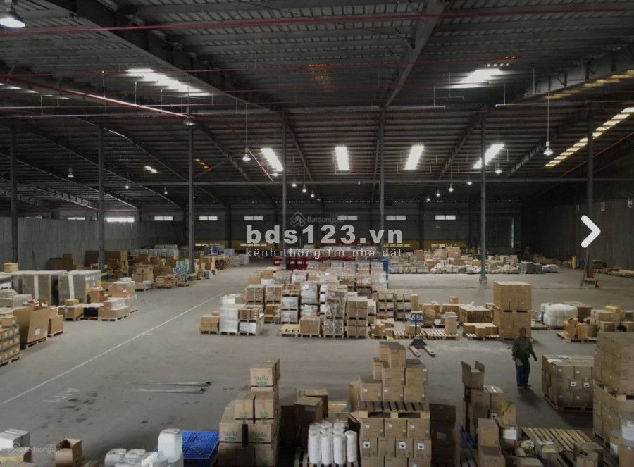 Cho thuê kho xưởng diện tích sử dụng 3.100m2 trong KCN Cát Lái, Quận 2, TP.HCM