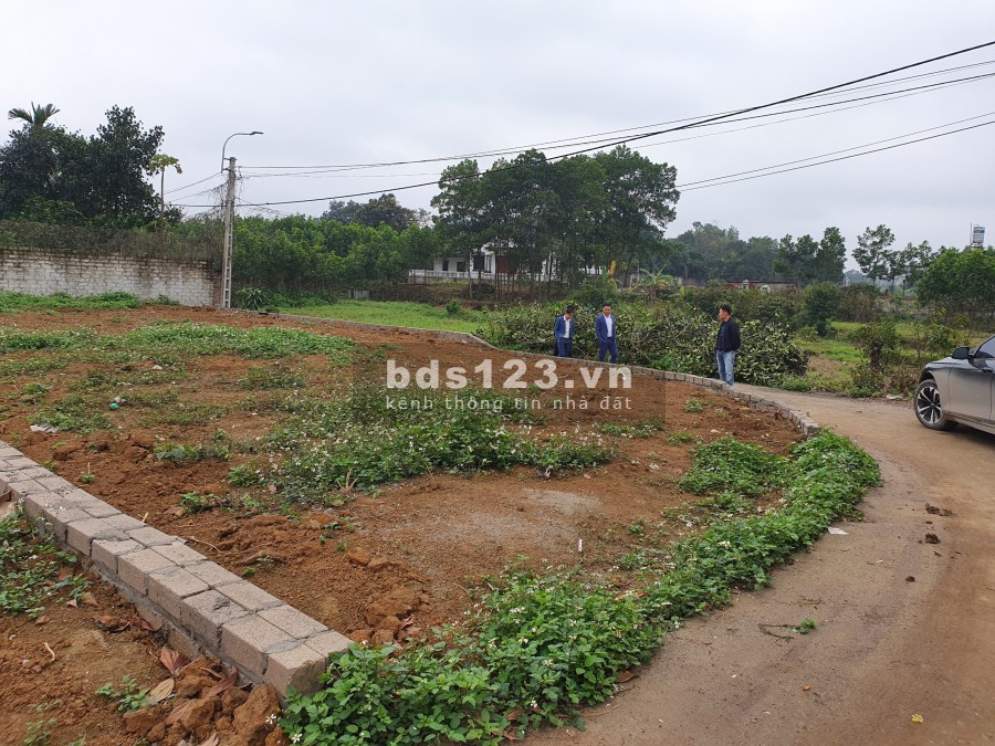 Siêu phẩm lô 231.9m2, nở hậu siêu đẹp tại Cổ Đông Sơn Tây, pháp lý chính chủ, sổ đổ chính chủ