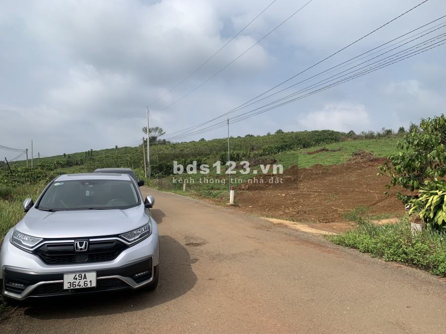 Đất vườn view đồi chè Lộc Quảng, ra Bảo Lộc 12 phút lái xe, mặt đường nhựa 7m, giá 2 tr/m2