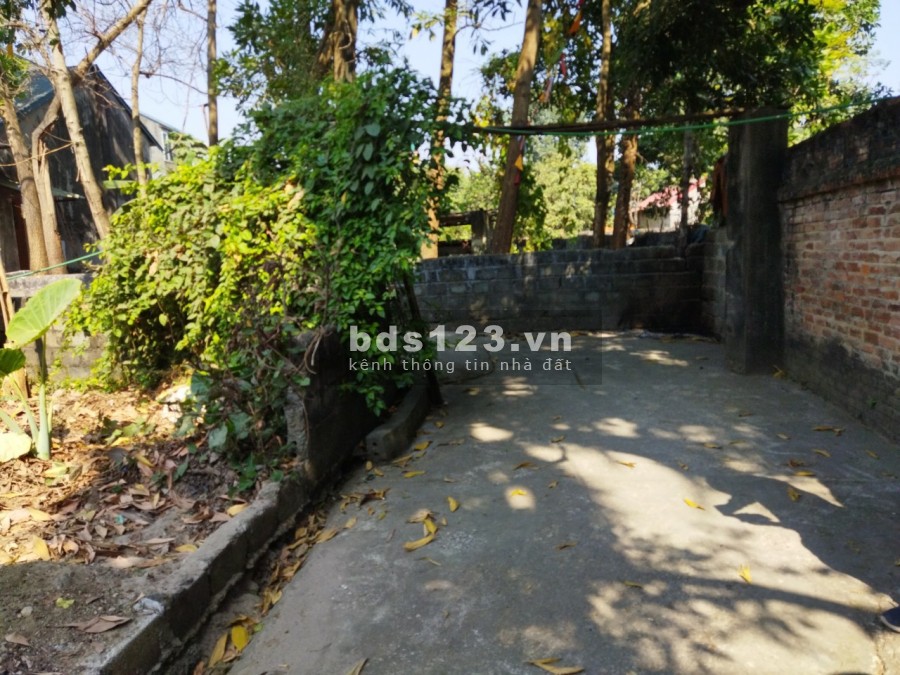 Cần bán lô đất tại Xuân Mãi, giá bán chỉ 100 triệu/m2 liên hệ 0985015582, sổ sẵn