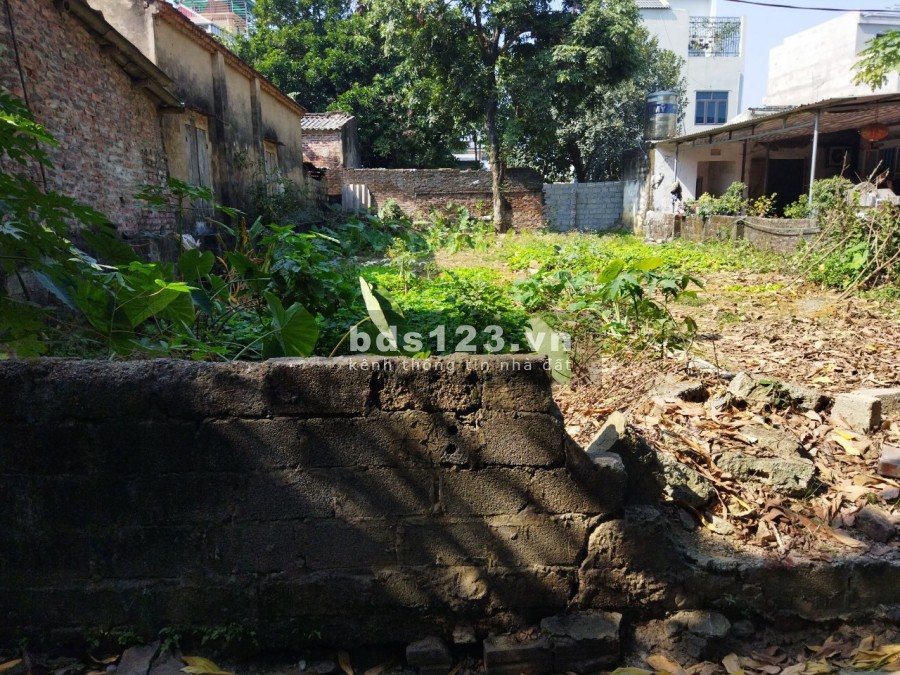 Cần bán lô đất tại Xuân Mãi, giá bán chỉ 100 triệu/m2 liên hệ 0985015582, sổ sẵn