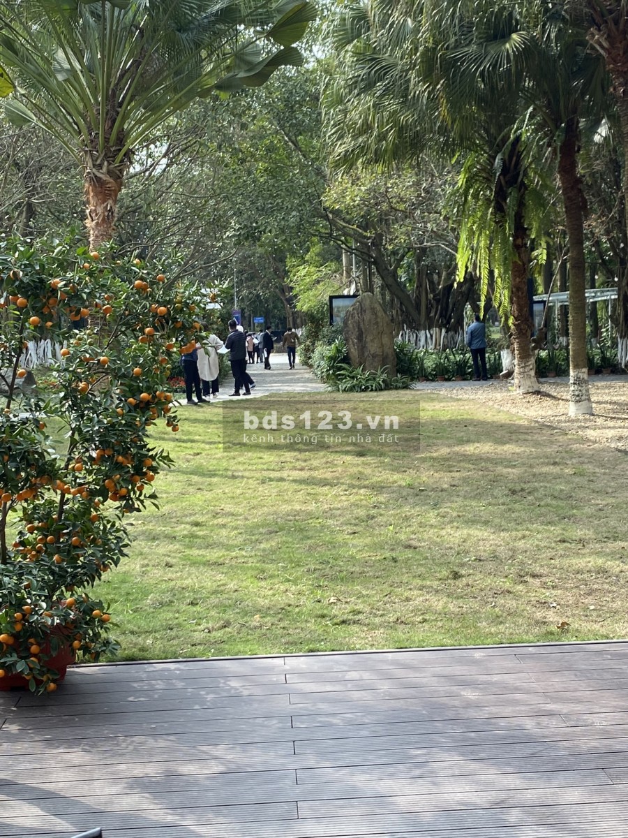 Bán căn ngoại giao giá rẻ nhất thị trường Duplex, Gaden villa hót nhất Sky Forest