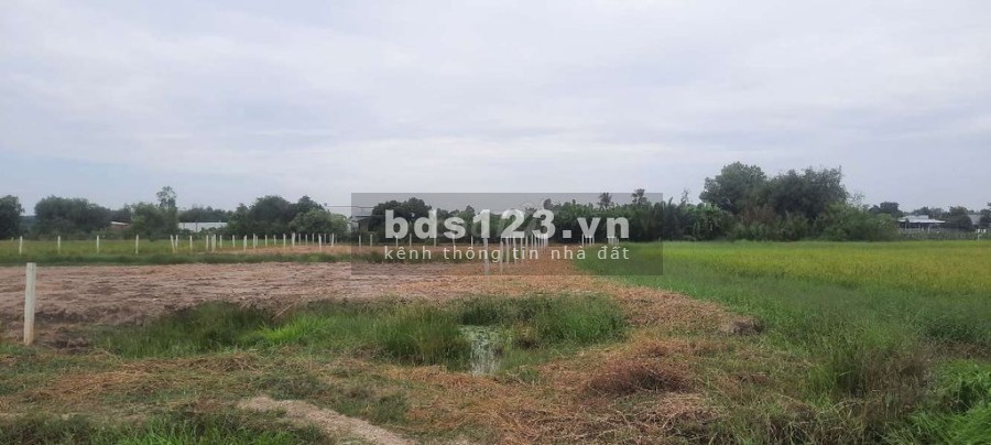 Chính chủ kẹt cần Bán Đất mặt tiền ĐT945 Châu Phú An Giang giá rẻ chỉ 1,2 triệu/m2