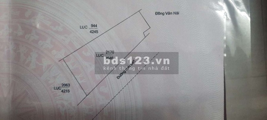 Chính chủ kẹt cần Bán Đất mặt tiền ĐT945 Châu Phú An Giang giá rẻ chỉ 1,2 triệu/m2