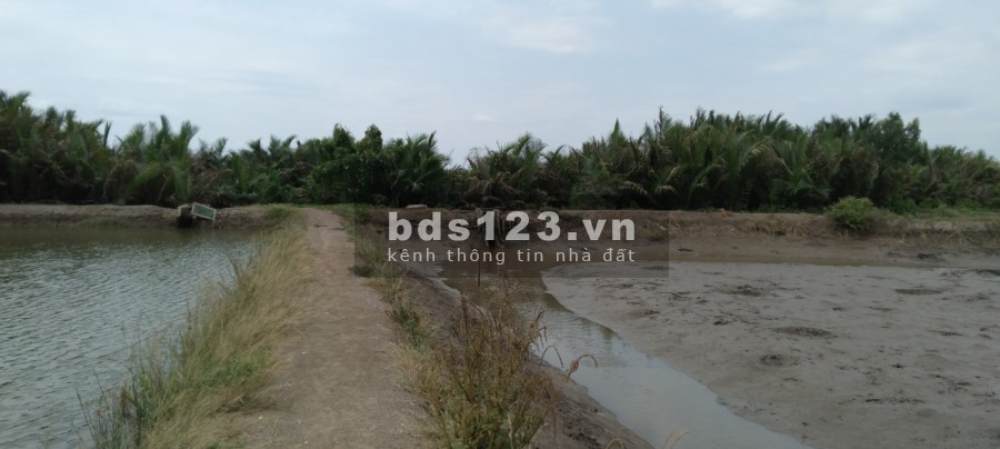 Bán lô đất diện tích 2200m, đất gần sông Lòng Tàu cực mát, pháp lý chính chủ, sổ sẵn