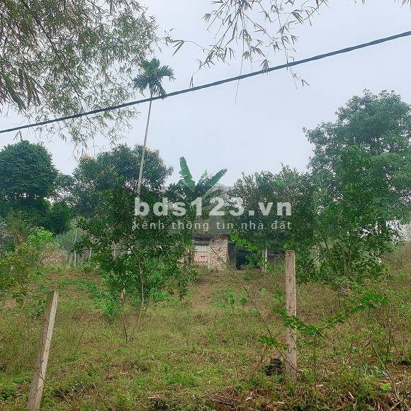 Đầu tư sinh lời nghỉ dưỡng Homestay gần khu du lịch Kim Bôi,…