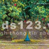Chung cư SkyForest vườn treo Babylon tại Việt Nam cách trung tâm hà nội 10km