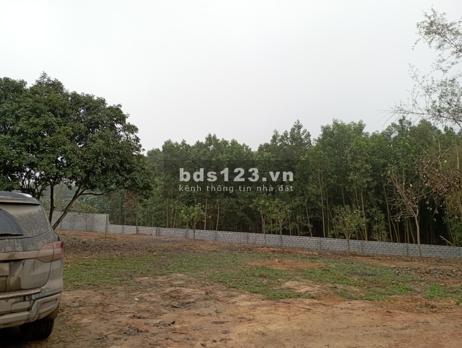 Chính chủ cần bán lô đất siêu đẹp tại Nhuận Trạch, Lương Sơn, Hoà Bình