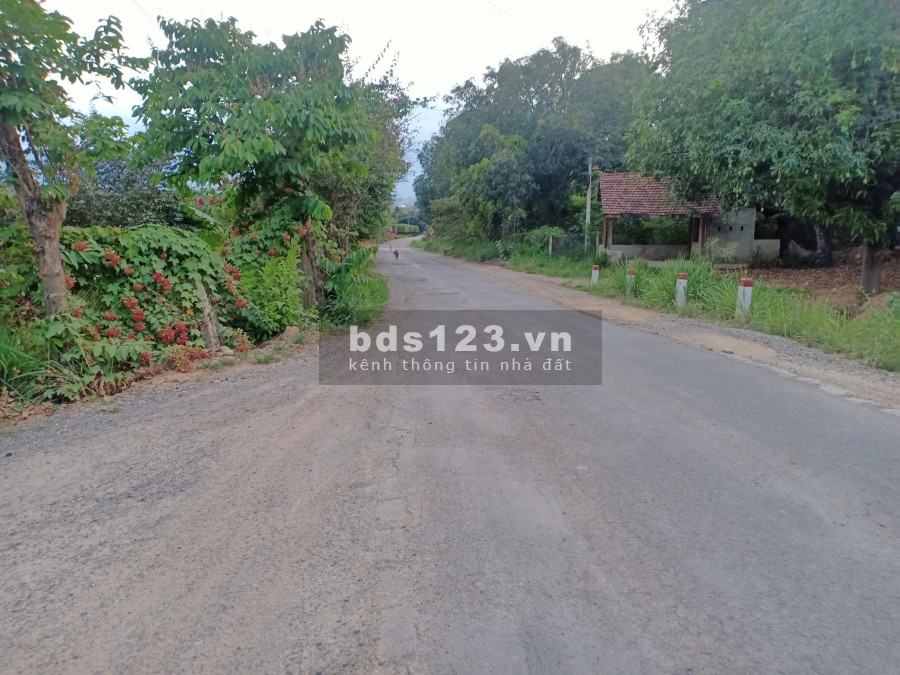 Cần bán đất Cam Lâm Khánh Hòa khu dân cư đông đúc, pháp lý chính chủ, giá tốt nhất khu
