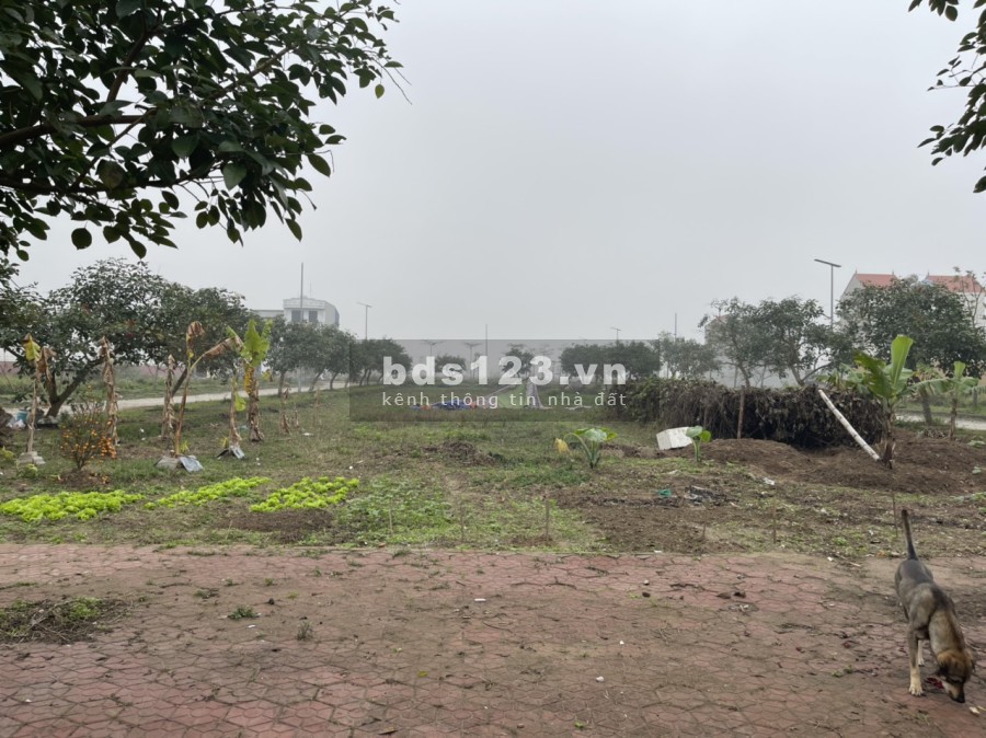 Thanh toán hơn 1,3 tỉ sở hữu đất đẹp, xây nhà luôn khu đô thị New City Phố Nối, lh 0799863888