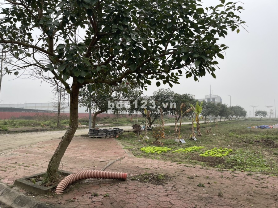 Thanh toán hơn 1,3 tỉ sở hữu đất đẹp, xây nhà luôn khu đô thị New City Phố Nối, lh 0799863888