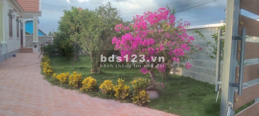 Siêu phẩm biệt thự mini xã Tân Lân, Cần Đước, Long An, DT 500m2.