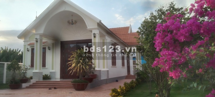 Siêu phẩm biệt thự mini xã Tân Lân, Cần Đước, Long An, DT 500m2.