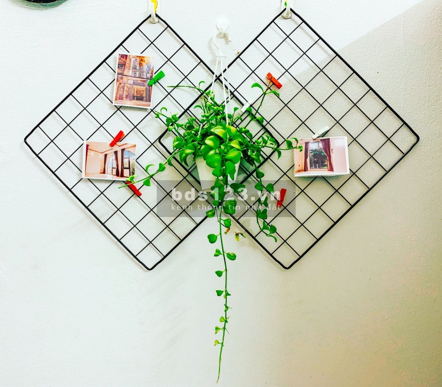 Căn hộ mini giá rẻ FULL nội thất ở Cô Giang, Quận 1 liên hệ 0336033811 giá tốt