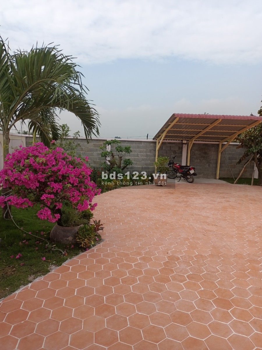 Siêu phẩm biệt thự mini xã Tân Lân, Cần Đước, Long An, DT 500m2.