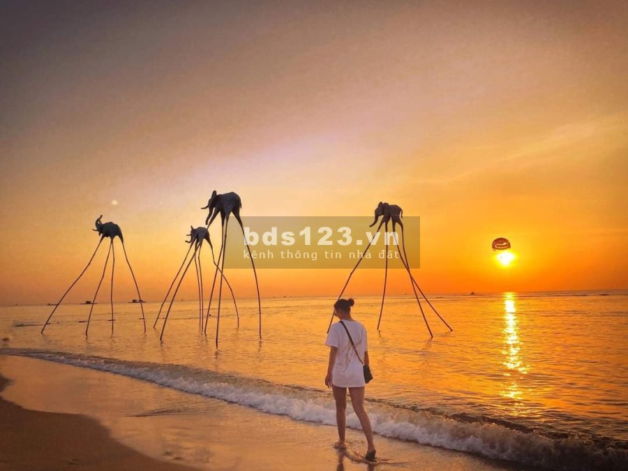 Bán 3 công đất An Thới Phú Quốc, giá bán 6 tỷ/công, vị trí đẹp, khu dân cư đông đúc, giá tốt