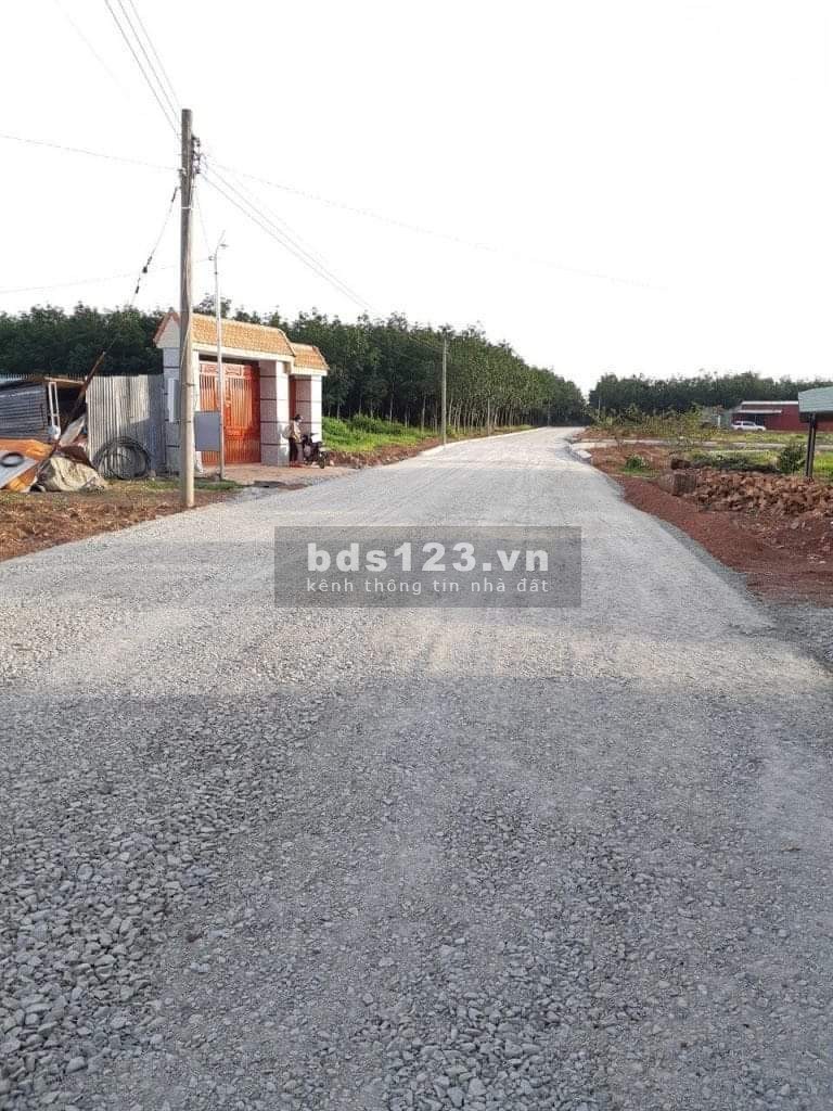 Bán đất giá rẻ Bình Phước giá bán 470 triệu diện tích sử dụng 500m2 có thổ cư