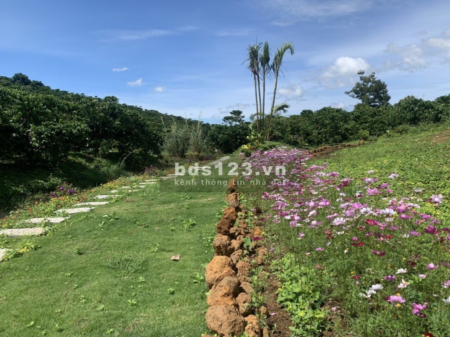 Cần bán đất vườn nghĩ dưỡng có view đồi, suối bao quanh, giá chỉ 2.5 triệu/m2, sổ sẵn